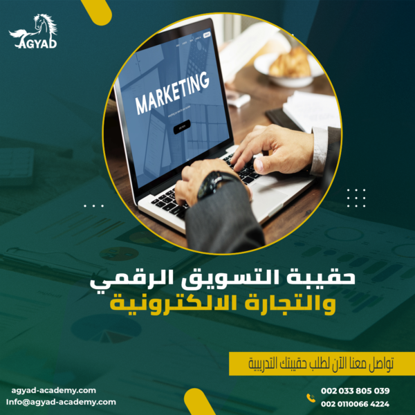 Training package for the “E-Marketing and E-Commerce” program